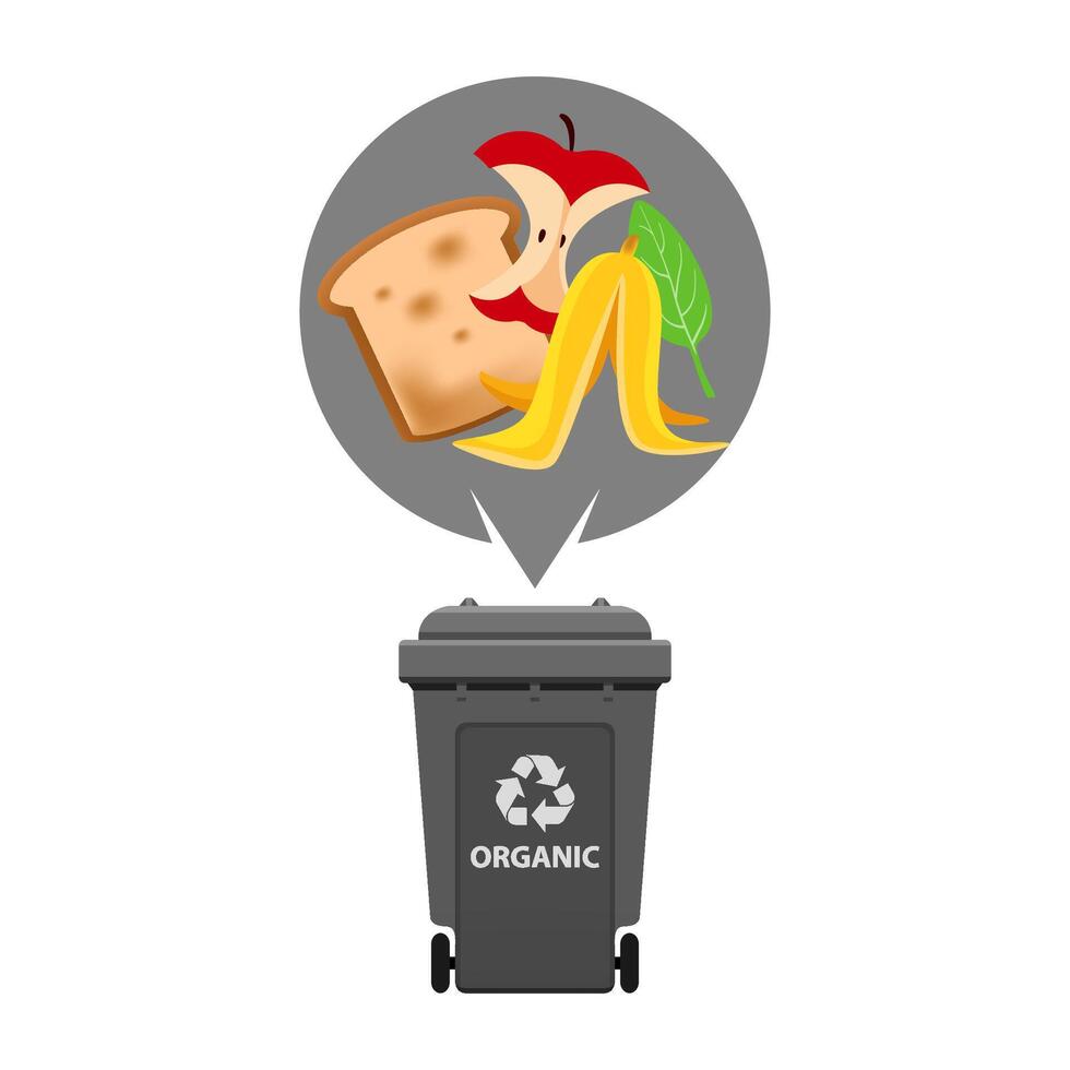 organic waste and grey recycling plastic bin isolated on a white, plastic bin and organic garbage, waste organic trash, illustration clip art bin, 3r garbage vector