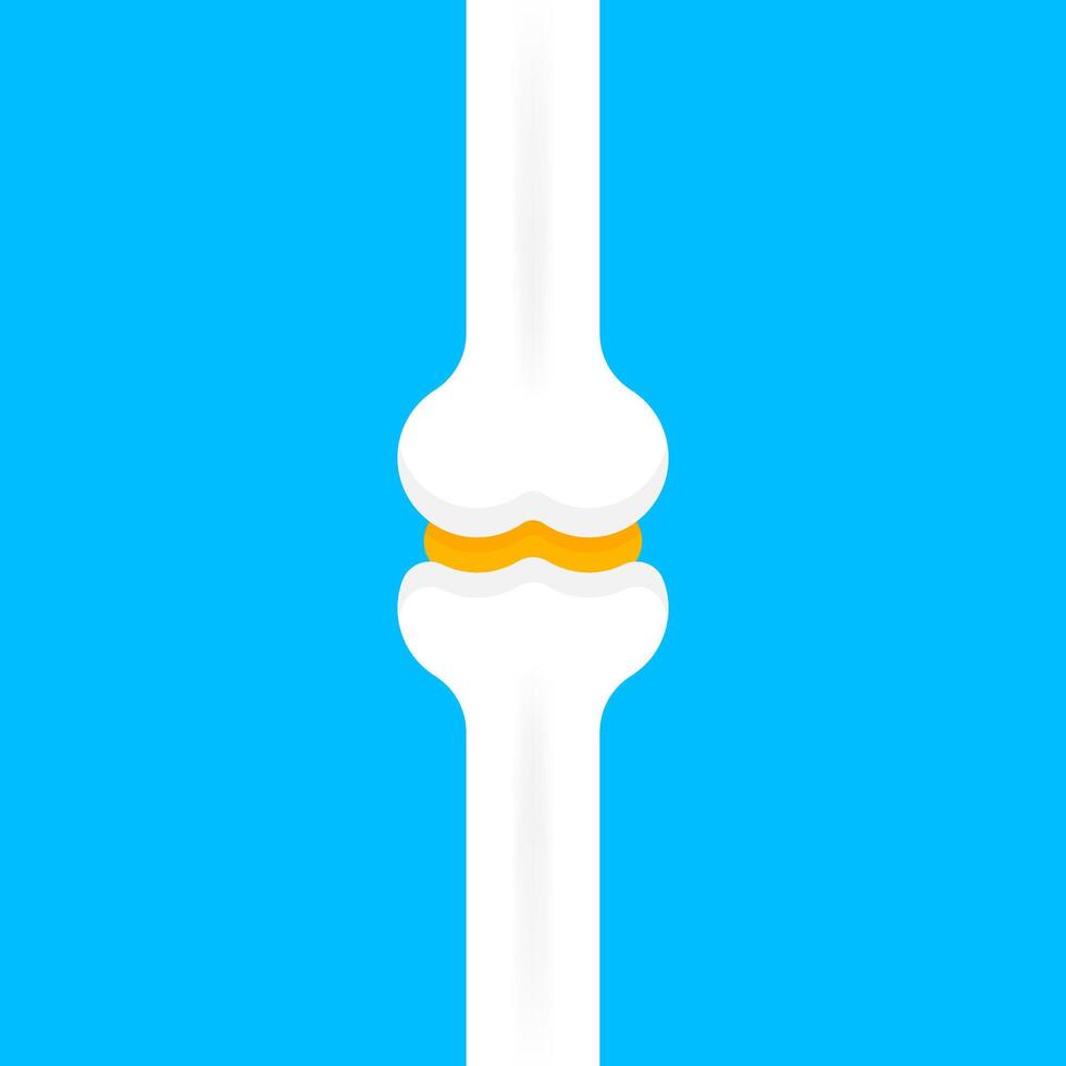 bone simple illustration isolated on blue background, bone for calcium concept, clip art bone vector