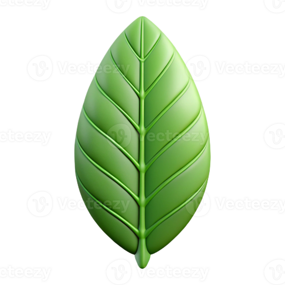 distinguished tropical Leaf pattern, symmetrical, flat color, clean lines with Scalable Design. museum quality png