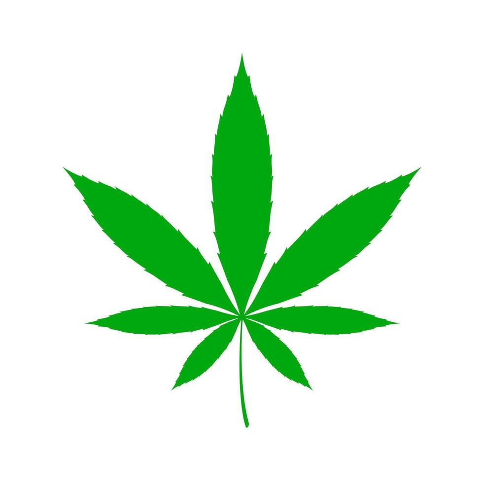 cannabis leaf isolated on white background, marijuana hemp leaf green flat graphic symbol, cannabis, marijuana, hemp leaf icon for logo design vector