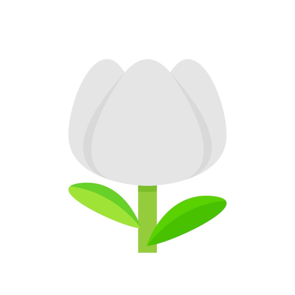 tulip flower white grey simple isolated on white background, tulips white cartoon for clip art, illustration tulip flower vector