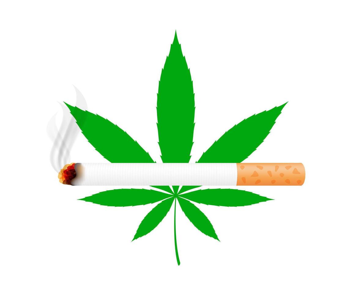 cigarette and cannabis leaf isolated white background, cigarettes and marijuana hemp leaf green, cigarette and hemp leaf clip art, marijuana cigarette icon vector