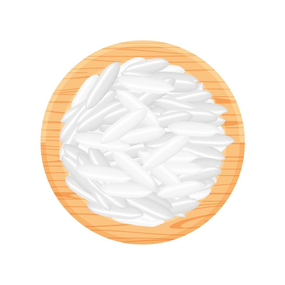 rice seed raw on circle wood plate, isolated on white, grains rice and paddy seed on wooden tray, pile rice grains, illustration rice barley white seed macro concept, vegetarian food vector