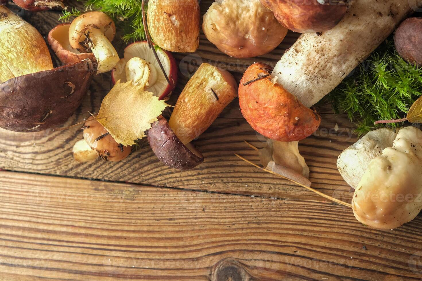 fresh forest mushrooms on a wooden background. top view, copy space. Autumn concept. photo