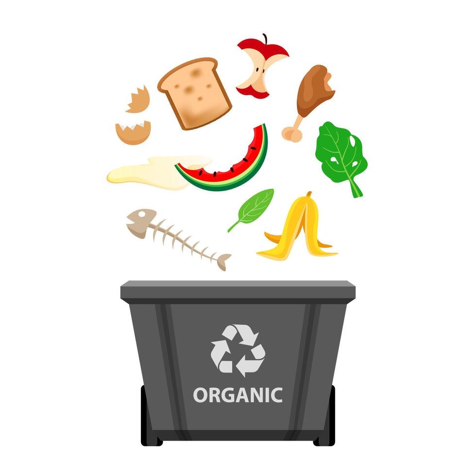 organic waste and grey recycling plastic bin isolated on white, plastic bin and organic garbage, waste organic trash, illustration clip art bin, 3r garbage vector