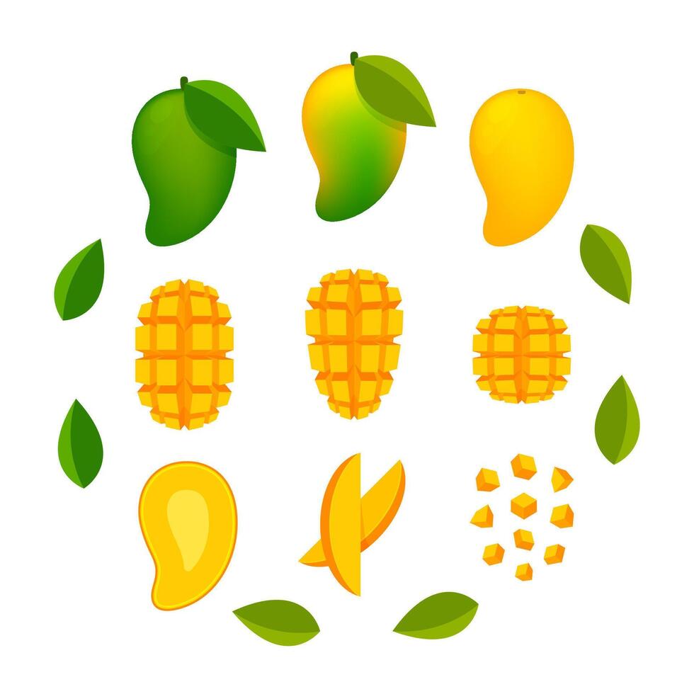 mango ripe and slice isolated on white, yellow mango slice half cut piece, illustration mango fruit and section slice for clip art vector