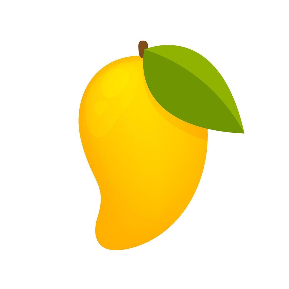 mango ripe fruit simple isolated on white background, yellow mango cartoon clip art, illustration mango icon vector