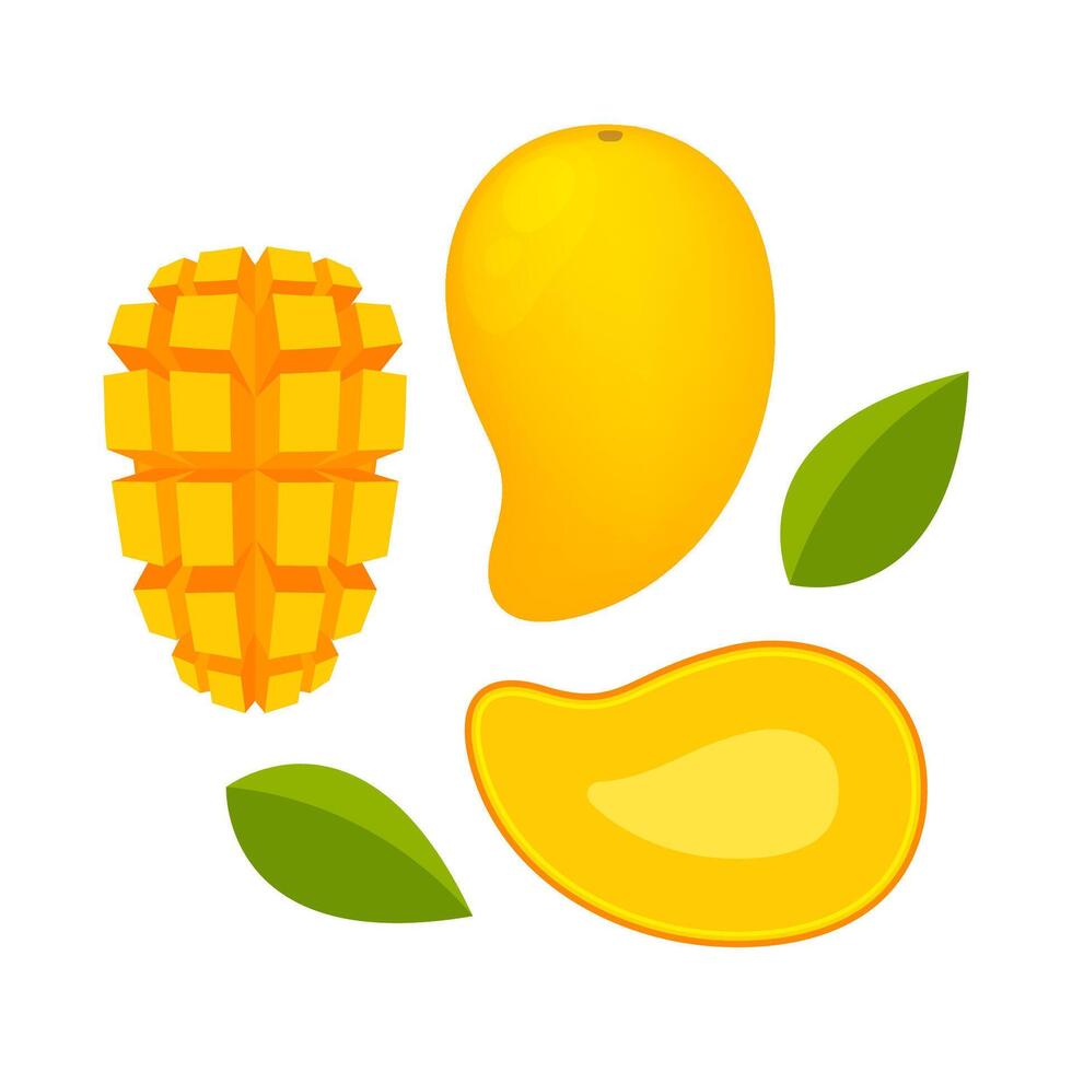 mango ripe and slice, yellow mango slice half cut piece, illustration mango fruit and section slice for clip art vector