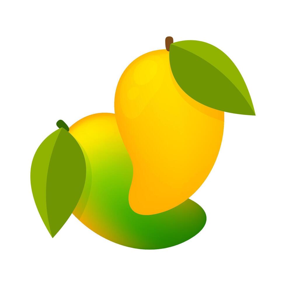mango yellow green fruit simple isolated on a white vector