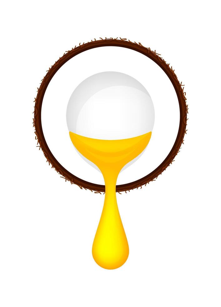 coconut half cut and oil drop yellow gold isolated on white, coconut cooking oil for icon, brown coconut and oily oil pouring, coconut with oil drop flow for cosmetics ingredient vector