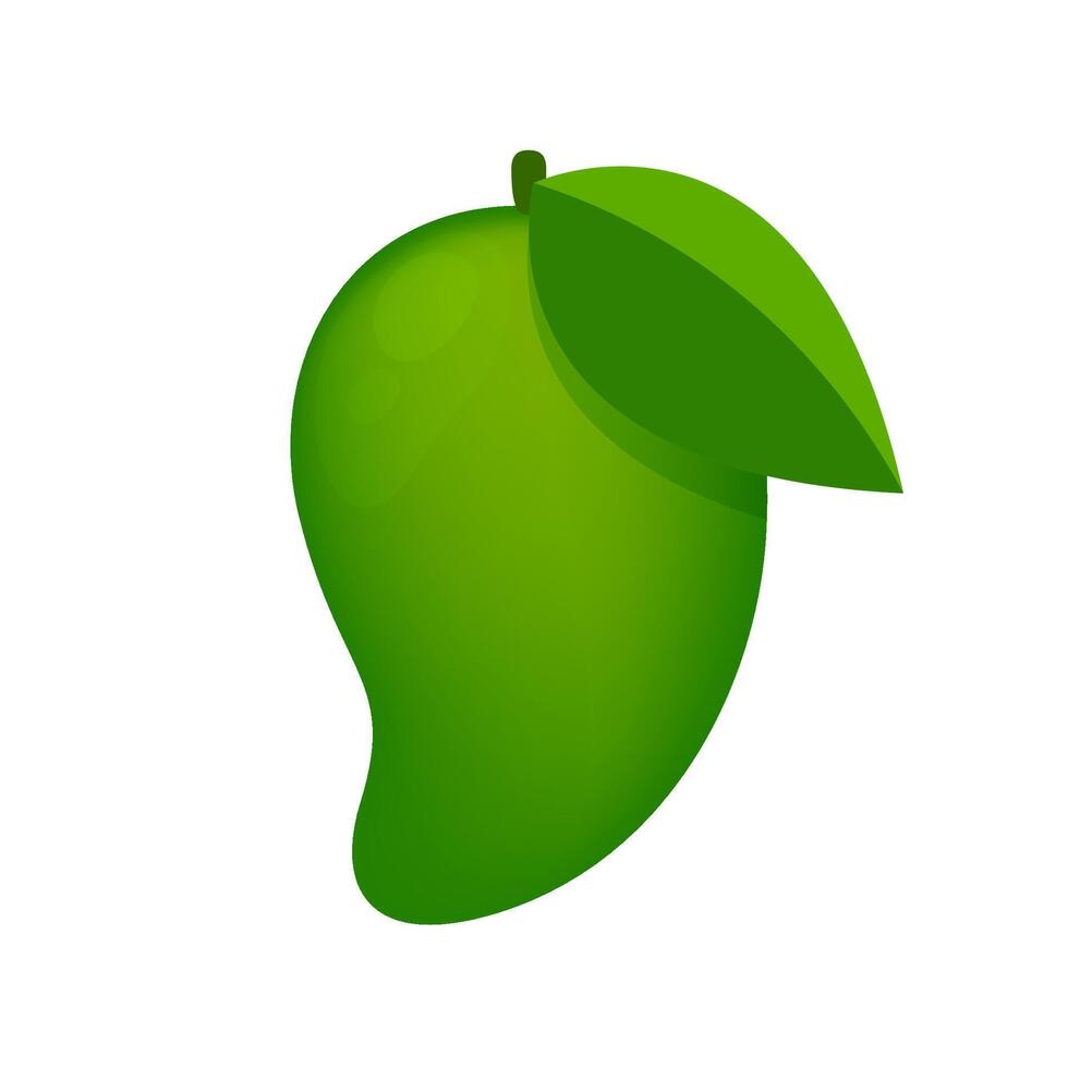 mango green fruit simple isolated on white background, raw mango cartoon for clip art, illustration mango for icon vector