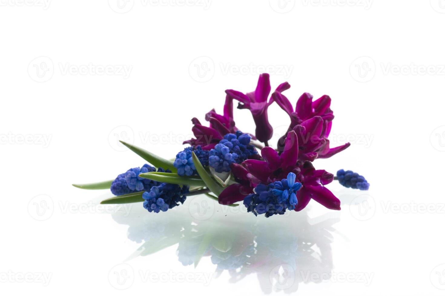 Isolated on white background mini bouquet with crocuses and hyacinth photo