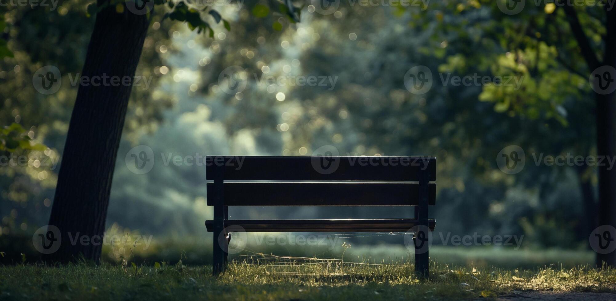 A bench in the middle of a park photo
