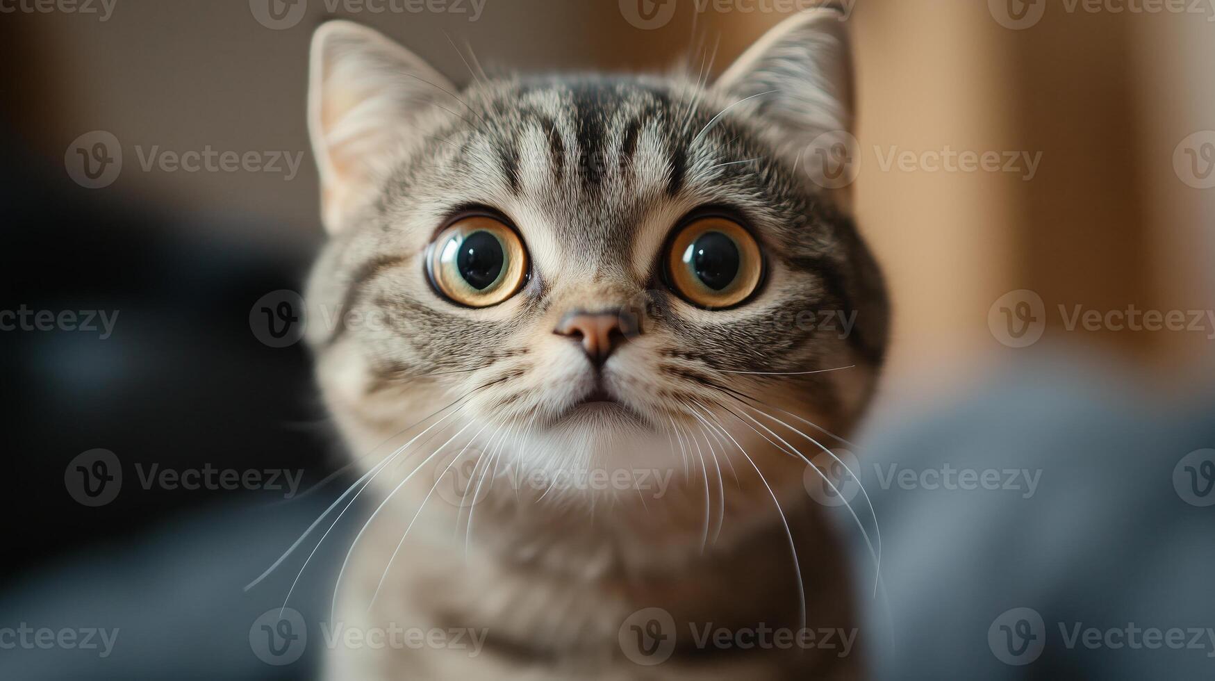 Surprised cat with wide eyes, amusing and endearing, lighthearted atmosphere. 7 photo