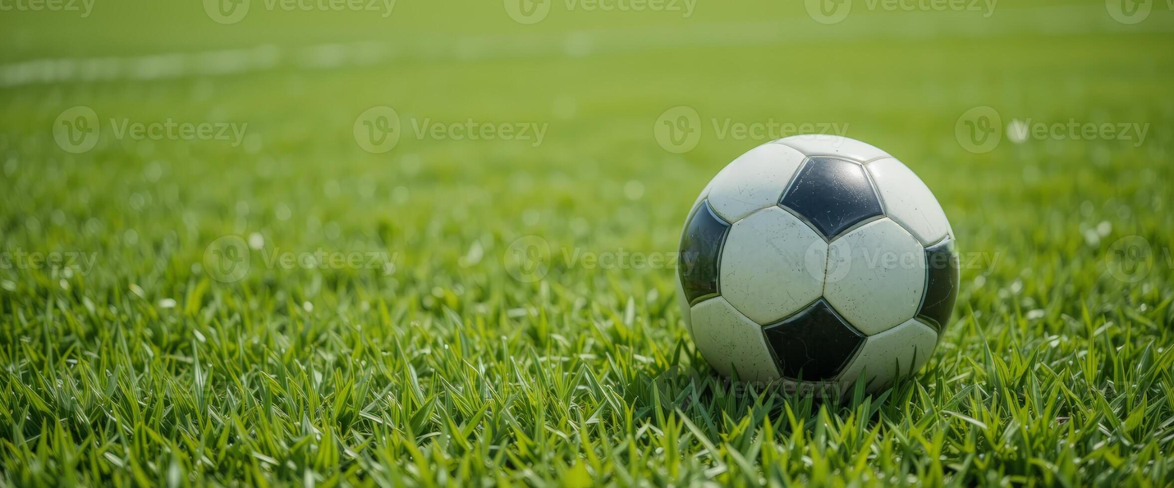 A black and white soccer ball is positioned on lush green grass, highlighting preparation for play or a soccer match. photo