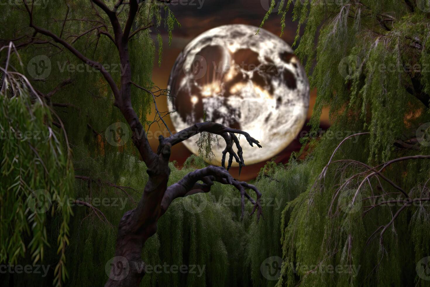 A full moon shines through the branches of a tree. photo