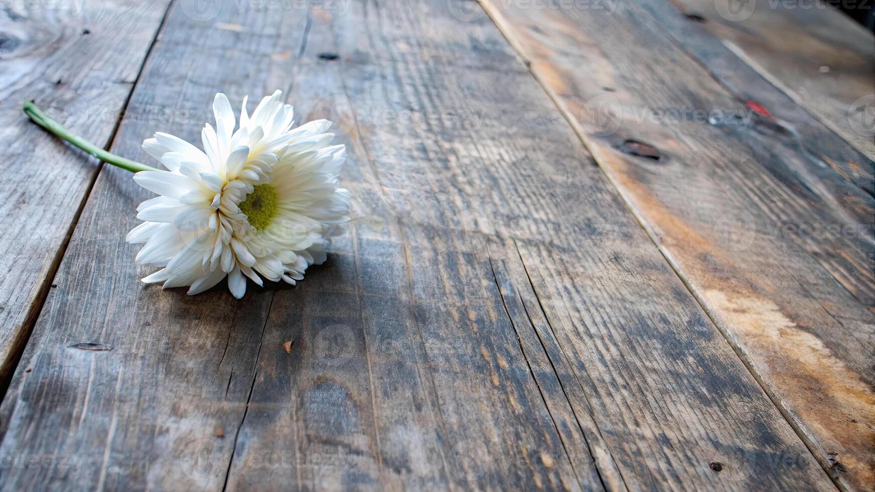 A delicate white flower rests on a rustic wooden table. photo