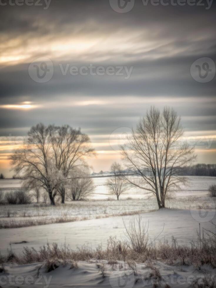 Peaceful winter landscape with bare trees under a cloudy sky. photo