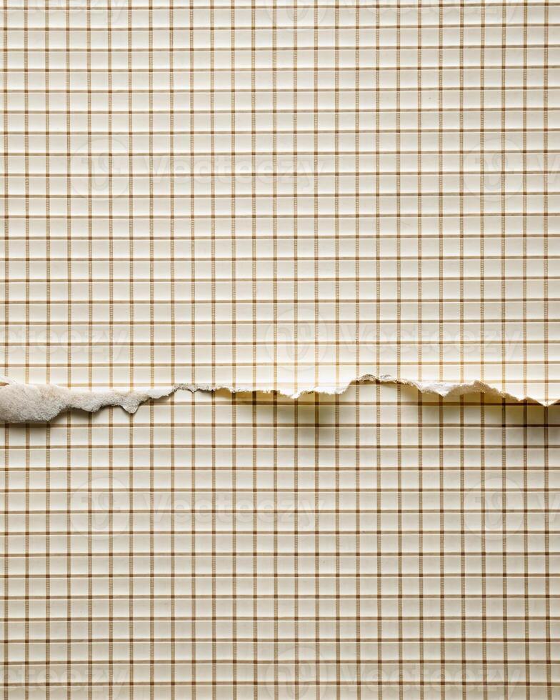 Torn graph paper with visible lines and rugged edges photo