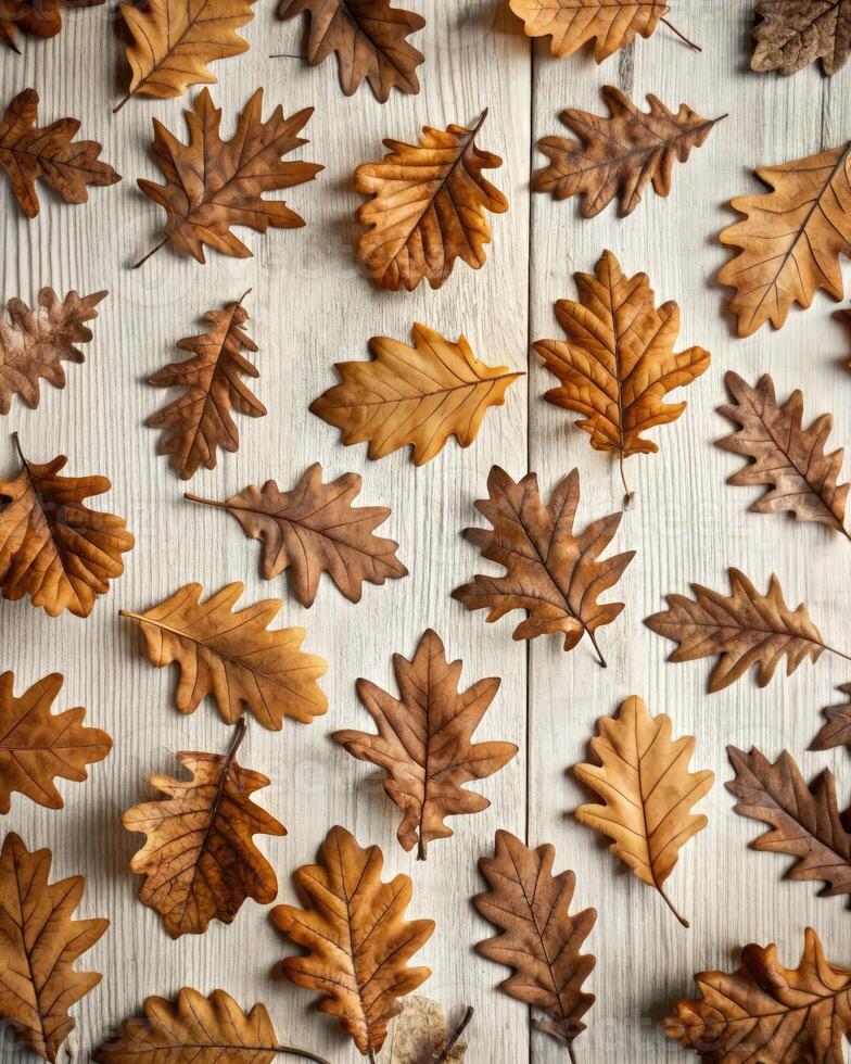 Autumn dried leaves arranged in rows on a rustic wooden surface photo