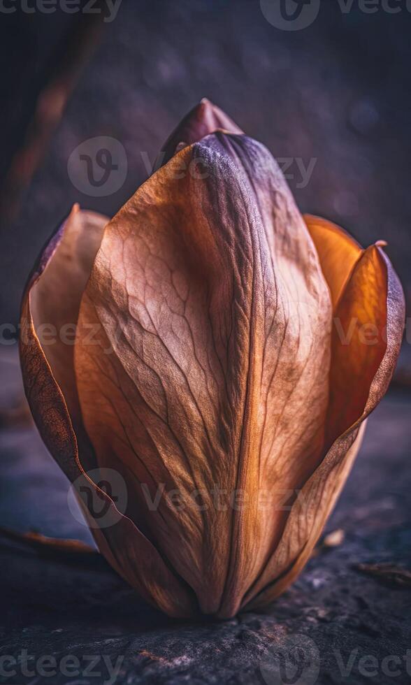 Close-up of a delicate brown flower bud with subtle textures. photo