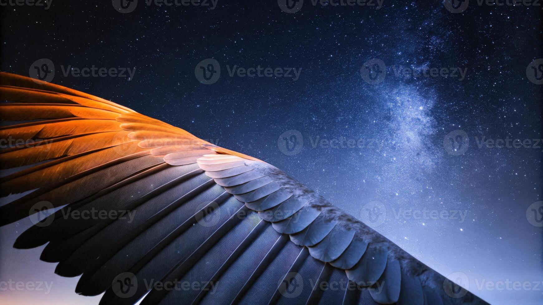 Silhouette of Bird Wings Against a Starry Night Sky photo