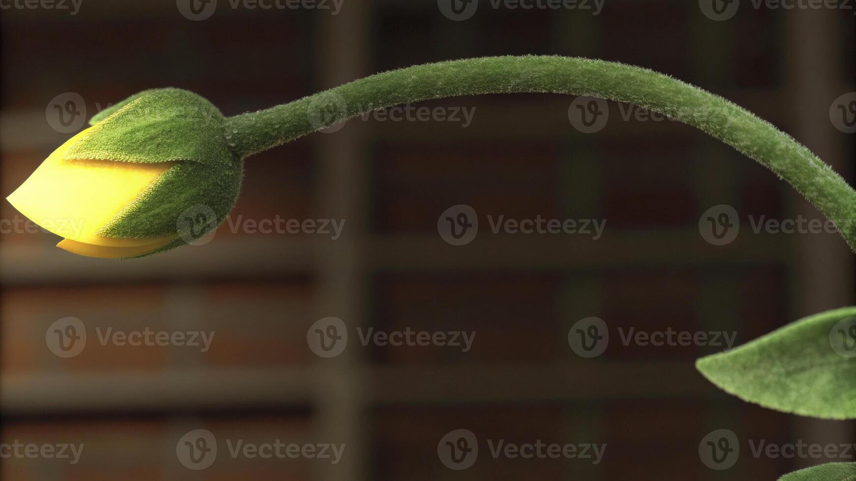 Budding Plant with Glowing Light Bulb Effect photo