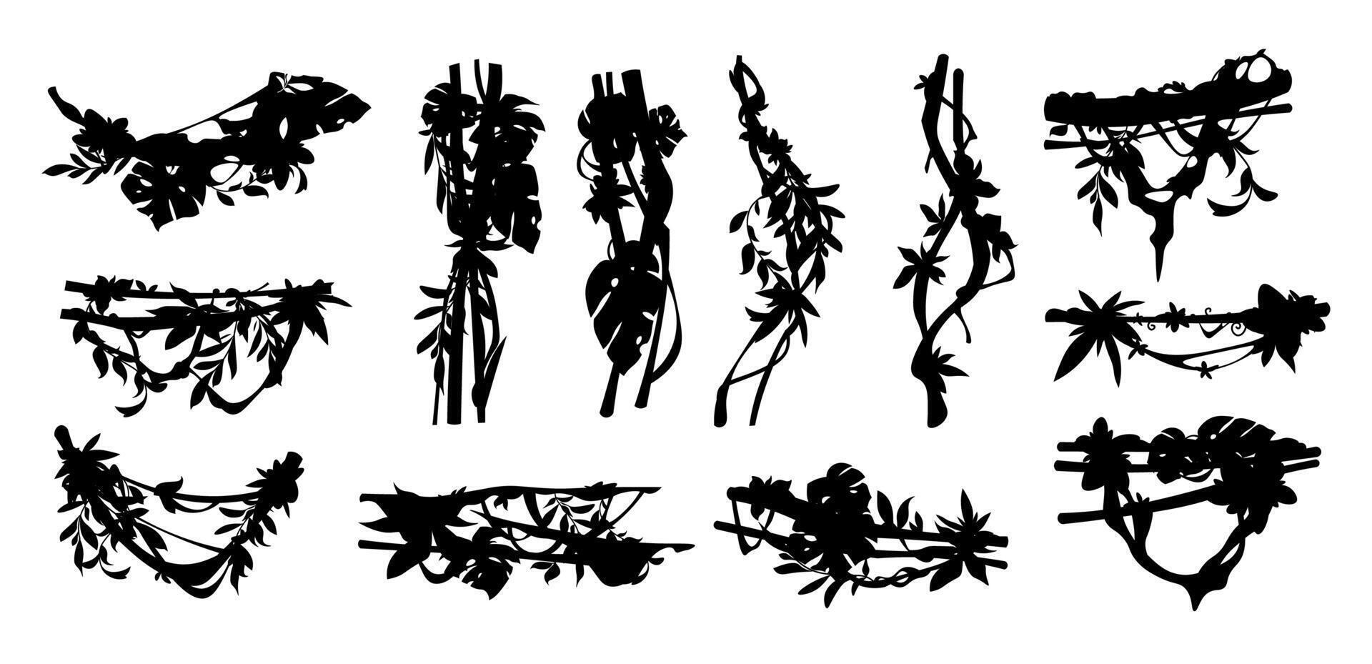 Jungle liana silhouette. Ivy plant border, tropical vine plant decorative frame element, jungle tree creeper branches, rainforest lianas and ivies botany dividers. set vector