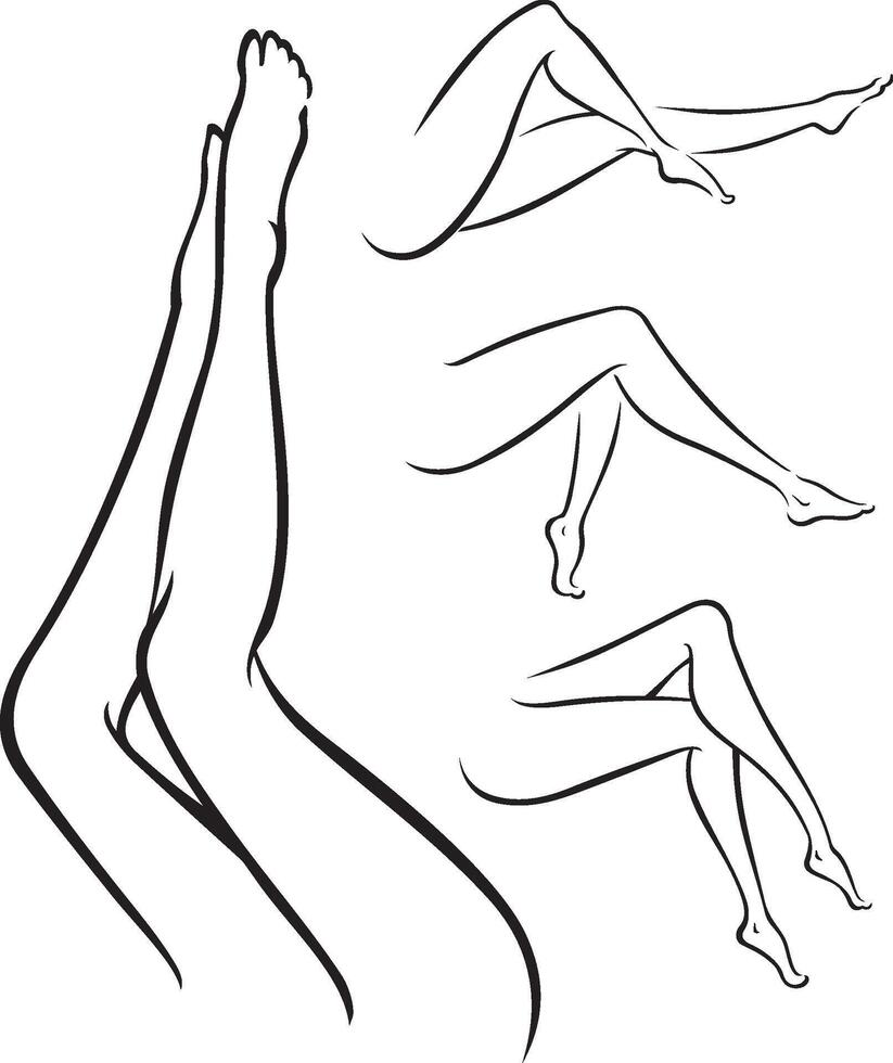 Feminine Legs Line Art vector