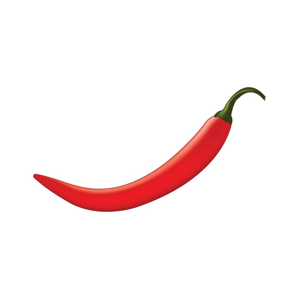 chili realistic 3d illustration vector