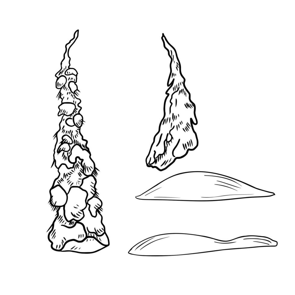 Black and white outline Christmas trees and snowdrift clipart hand drawn illustration. Snow covered firs and pines monochrome sketch for holiday prints, postcards, winter design. vector