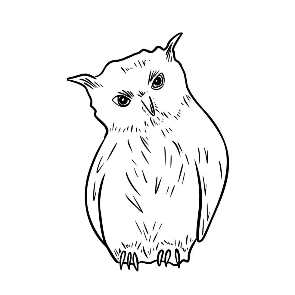Snowy owl hand drawn black white illustration. Eagle owl monochrome drawing for rustic winter and Christmas design. Night bird woodland animal graphic sketch for storybook, zoo, and coloring. vector