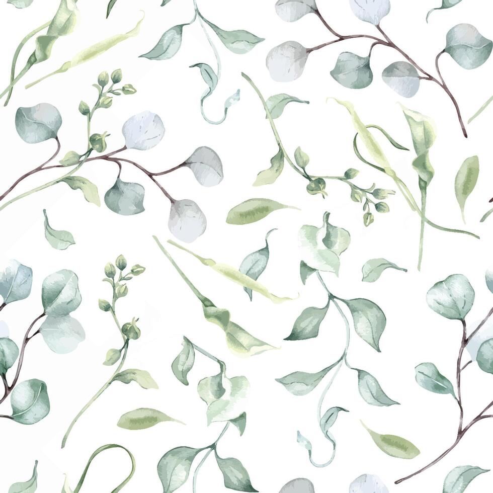Watercolor eucalyptus leaves pale green seamless pattern isolated. Soft green foliage texture repeated of plants branches hand drawn. Greenery background for design textile, wallpaper, package vector
