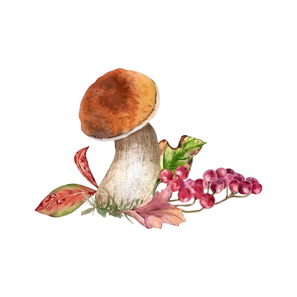 Watercolor autumn composition with mushroom of orange cap, red leaves and viburnum berries isolated on white. Rowan red berry branch with porcini hand drawn. Fall illustration edible forest plants. vector