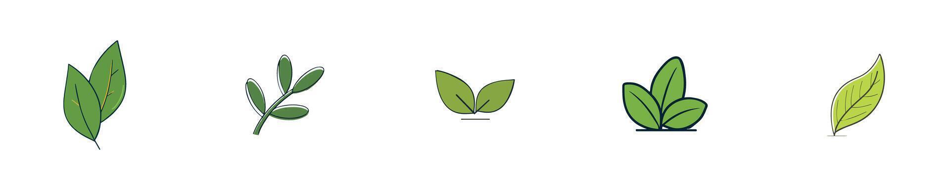 Set of Green Leaf Designs vector