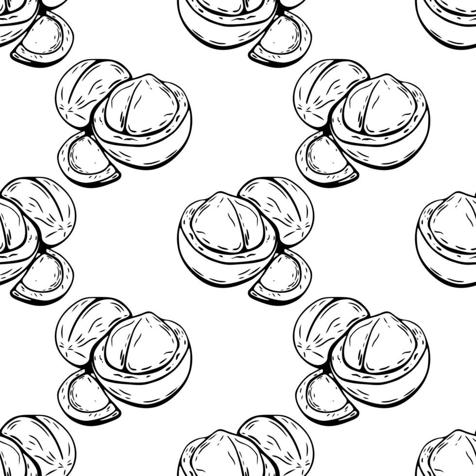 Seamless macadamia nut pattern in black and white line art vector