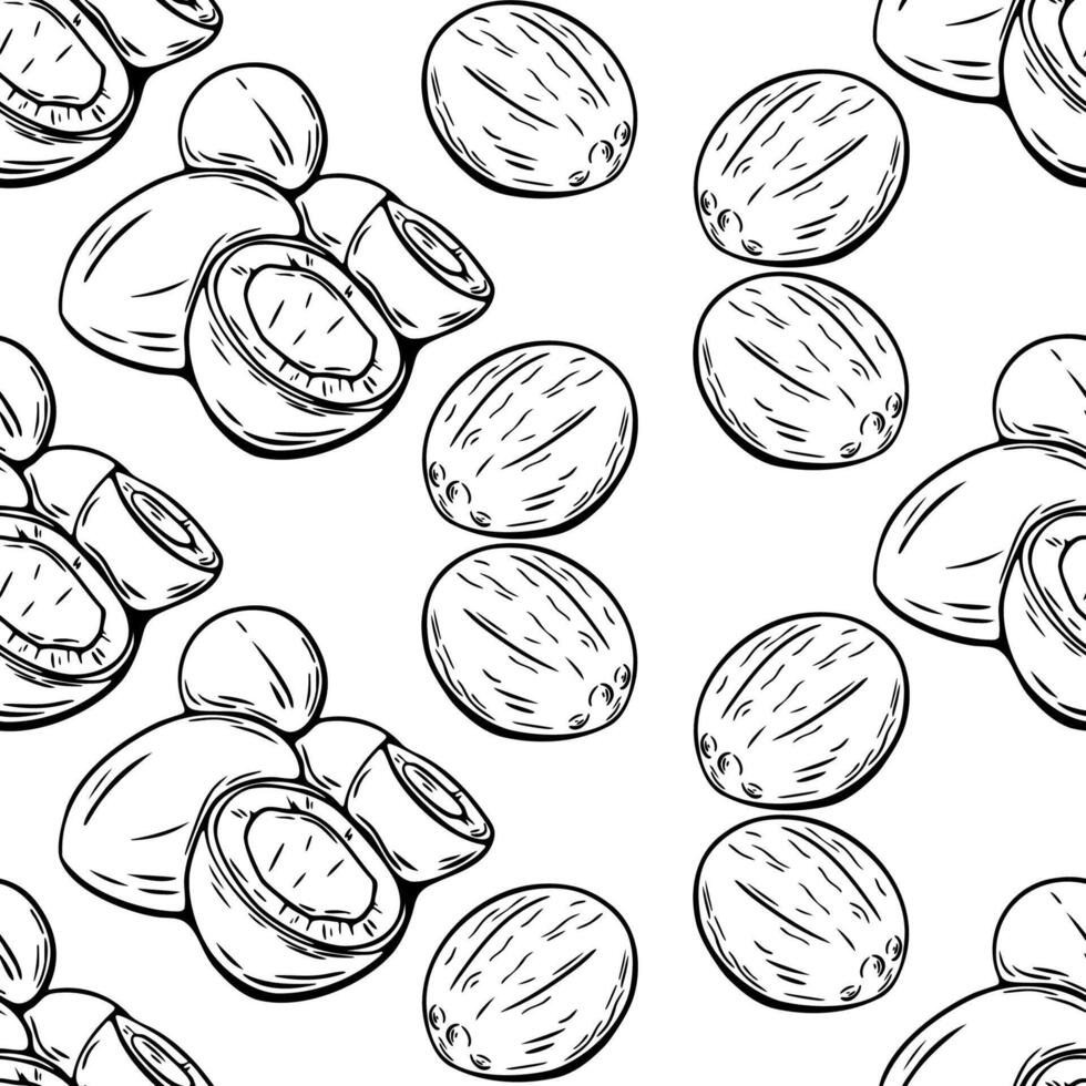 Coconut seamless pattern in black and white line drawing vector