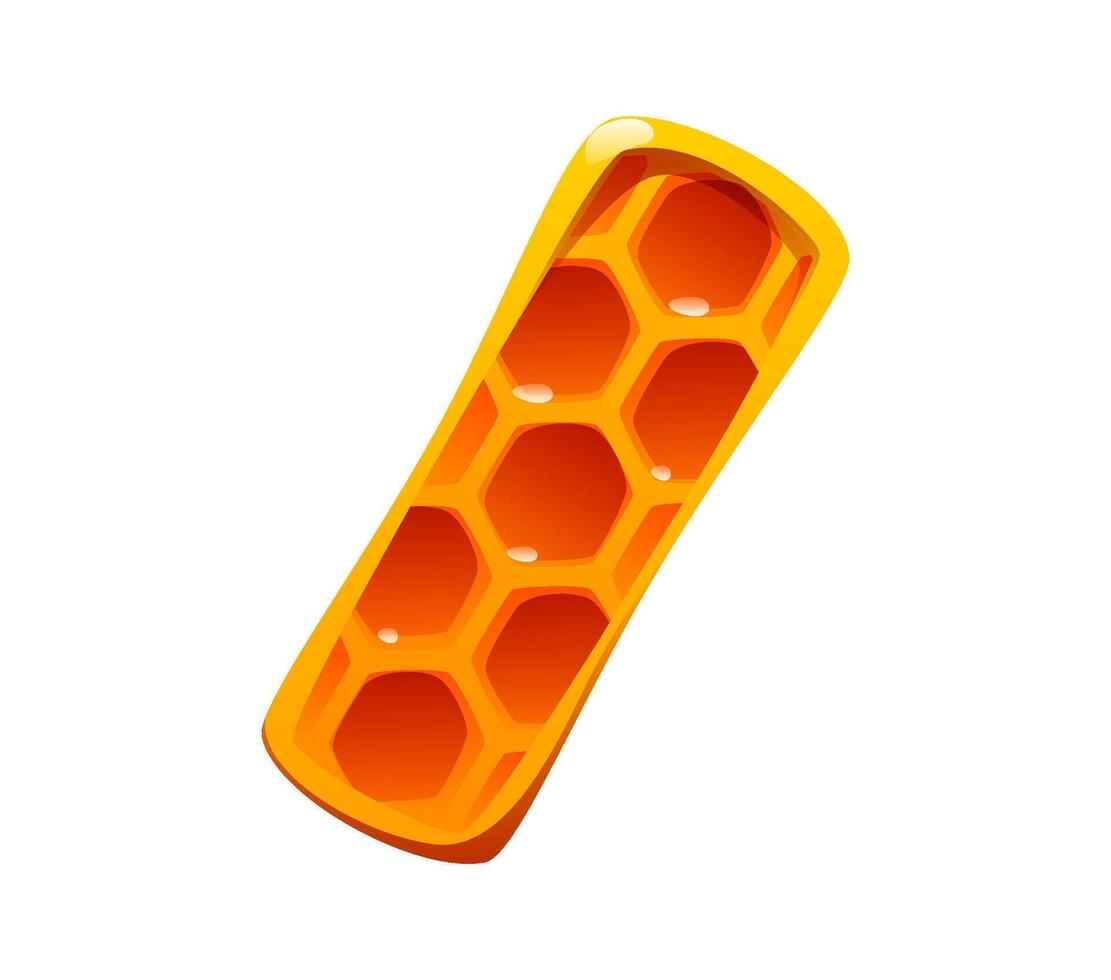 Honey font, cartoon honeycomb punctuation slash vector