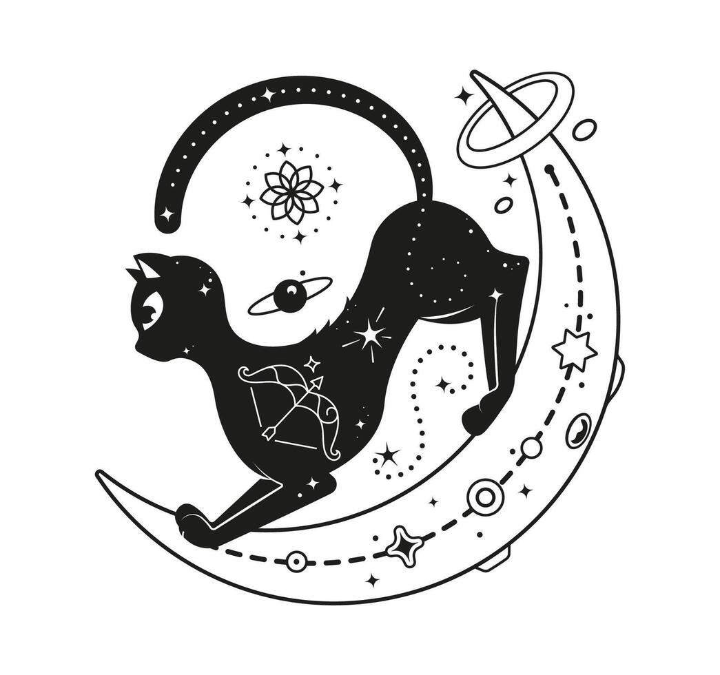 Black magic cat stretching on a crescent moon vector
