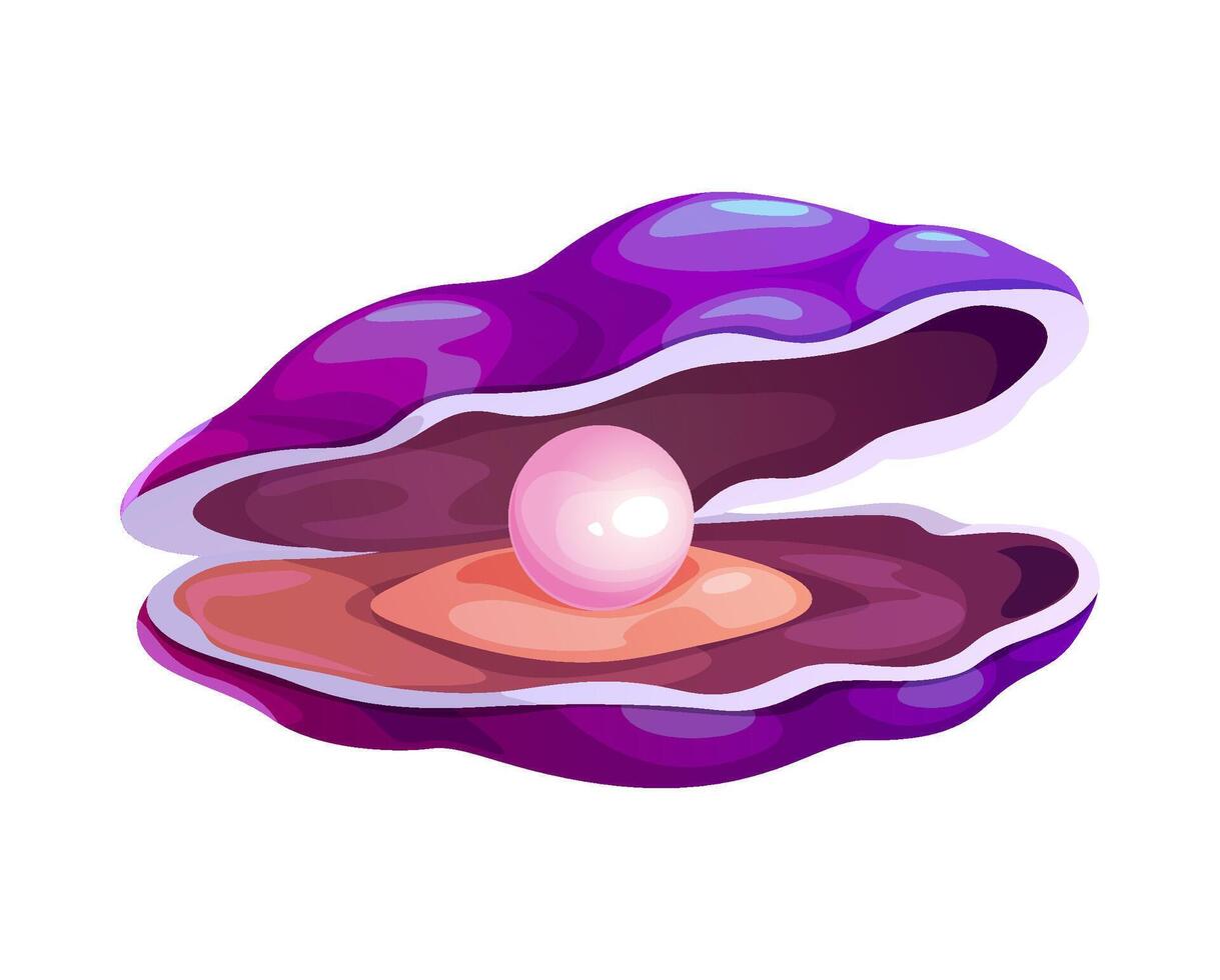 Cartoon pearl shell, oyster and scallop with pearl vector