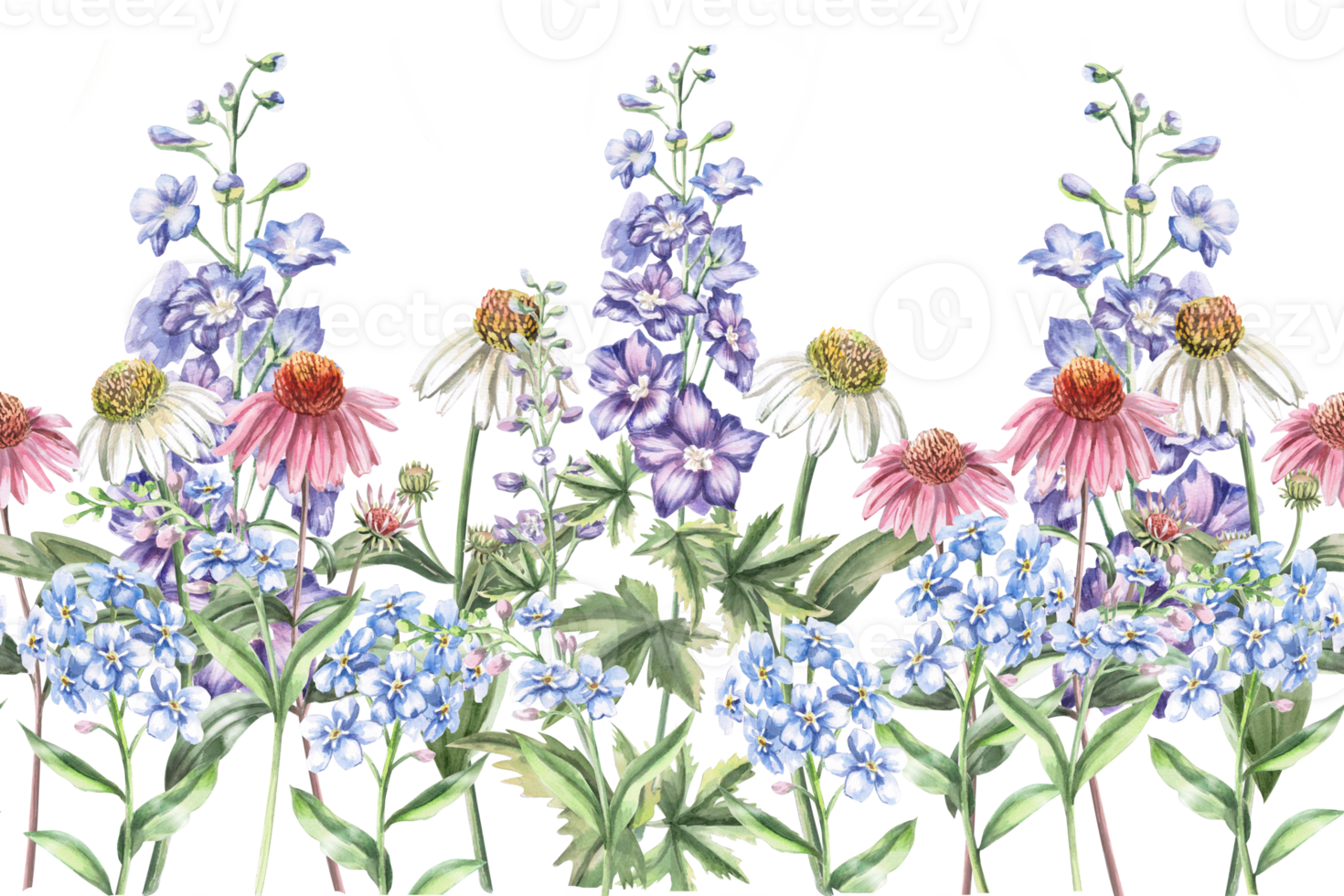 Seamless border with flowers of echinacea, forget-me-not and delphinium. Isolated watercolor illustration of bouquets for design of packaging of cosmetic products, candies, printing on clothes png