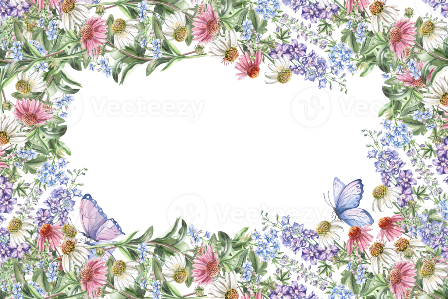 Rectangular frame with echinacea flowers butterflies. Isolated watercolor illustration of bouquets for design of packaging of cosmetic products, candies, printing on clothes. png
