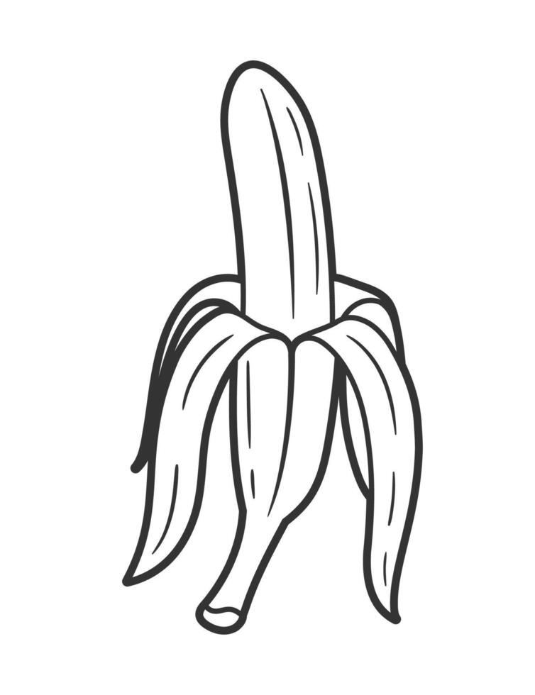 Banana line art of isolated on white vector