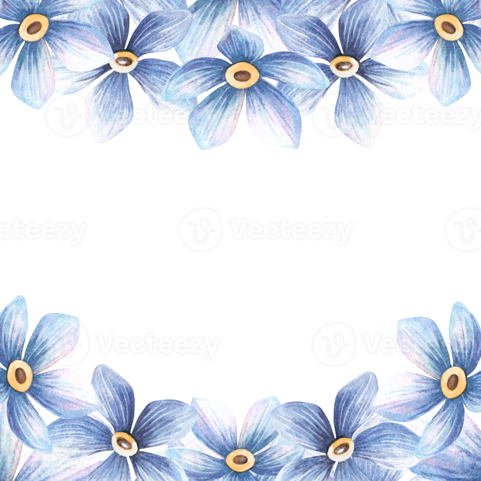 Blue flowers vintage square frame with forget-me-not blossom border. Botanical spring template with myosotis bloom. Perfect for botanical wedding arrangement, seasonal greeting card, retro postcard png