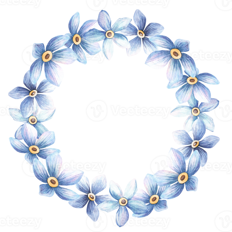 Blue flowers forget-me-not blossom wreath. Cute floral spring circle frame with myosotis in bloom. Perfect frame for botanical wedding arrangement, seasonal greeting card, retro love card, postcard png