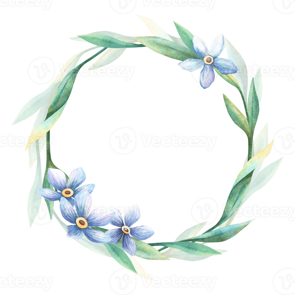 Blue flowers forget-me-not blossom wreath. Elegant floral spring circle template with myosotis twig Perfect frame for romantic, botanical wedding or love themes, seasonal greeting card, retro postcard png