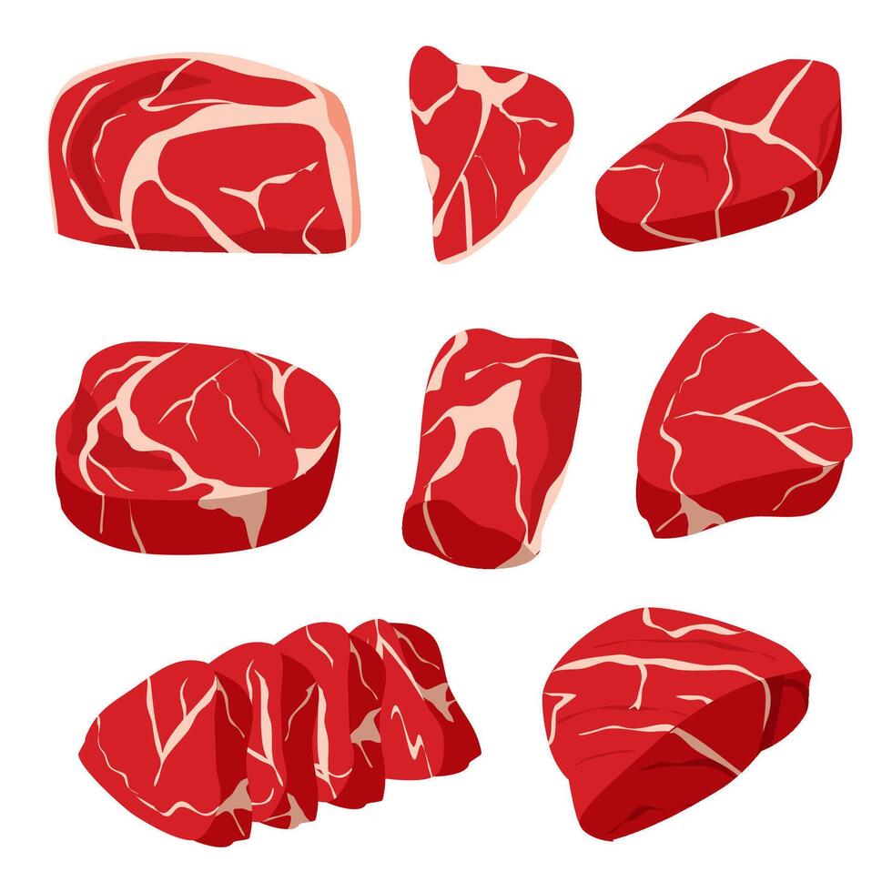 Set of raw meat vector