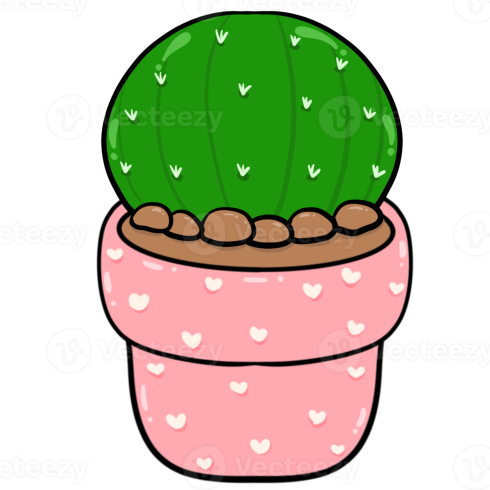 Cute round cactus in a pink pot. png