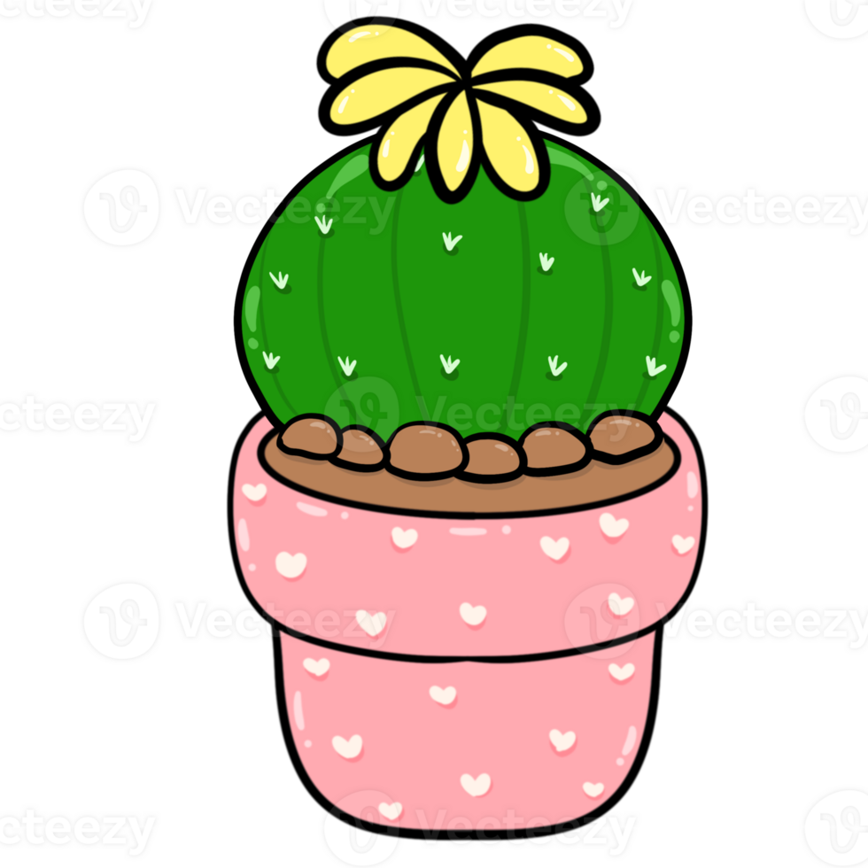 Cute round cactus with flowers in a pink pot png