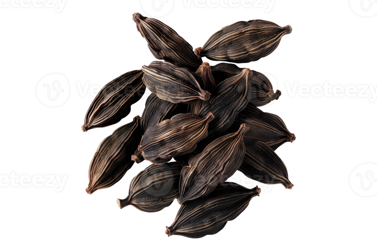 Black cardamom isolated on transparent background png